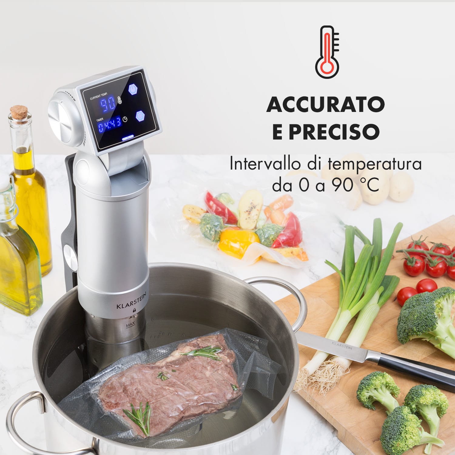 Quickstick Pro Pompa Sous Vide 3D Streamline Heating 0-90 °C Argento Argento