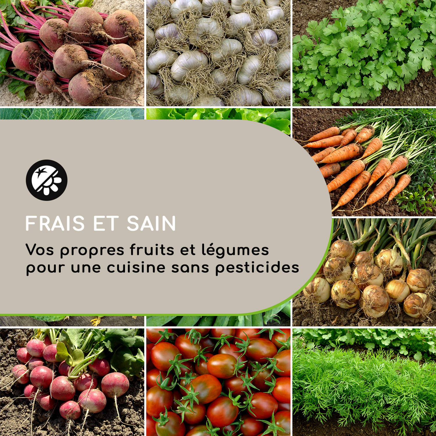 High Grow Straight Potager surélevé 180 x 60x 90cm 970 l acier argent 180 x 90 x 60 cm | Argent