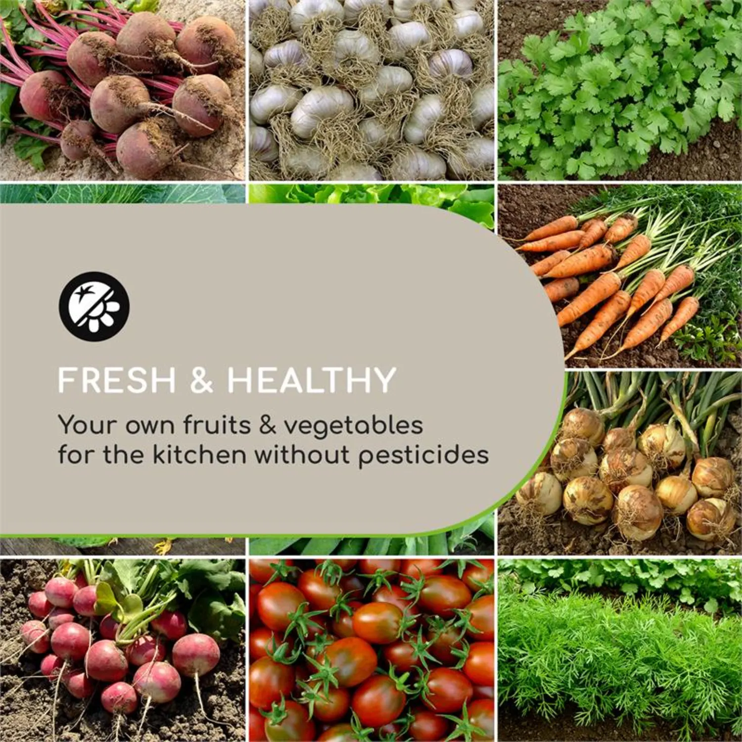 Rubal blumfeldt        Terrabox 180x90x60 cm Hochbeet CremeQA 5555