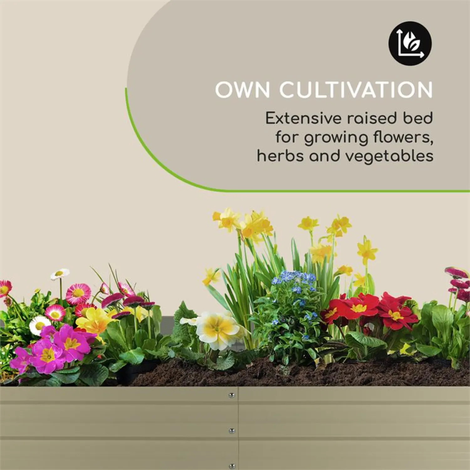 Rubal blumfeldt        Terrabox 180x90x60 cm Hochbeet CremeQA 5555