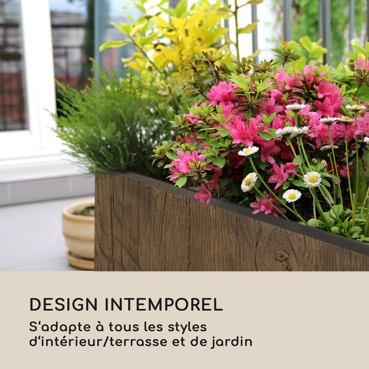 Timberflor Bac à fleurs 60 x 50 x 30 cm fibre de verre - marron 60 x 50 x 30 cm