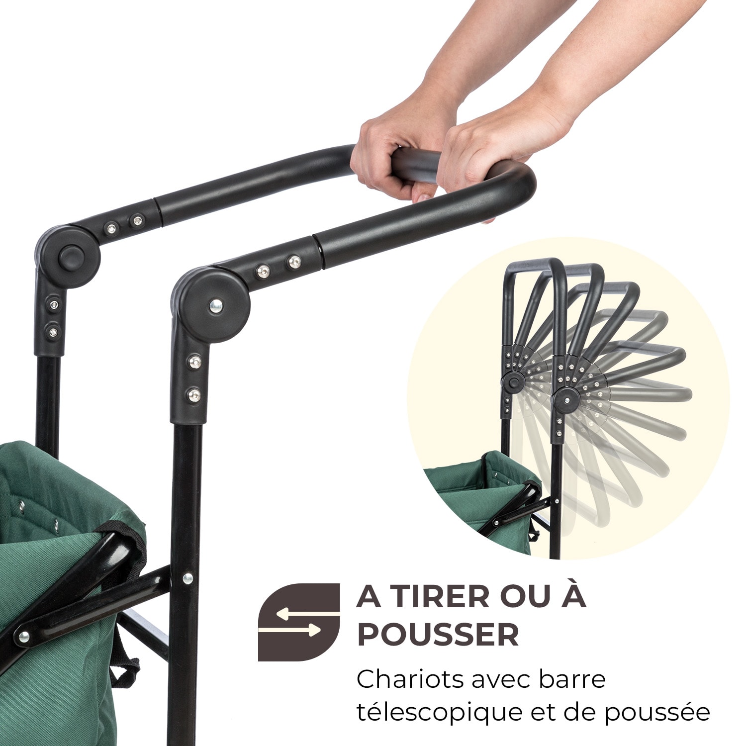 Easy Rider chariot de transport jusqu'à 70kg barre télescopique pliant vert Mousse Sombre