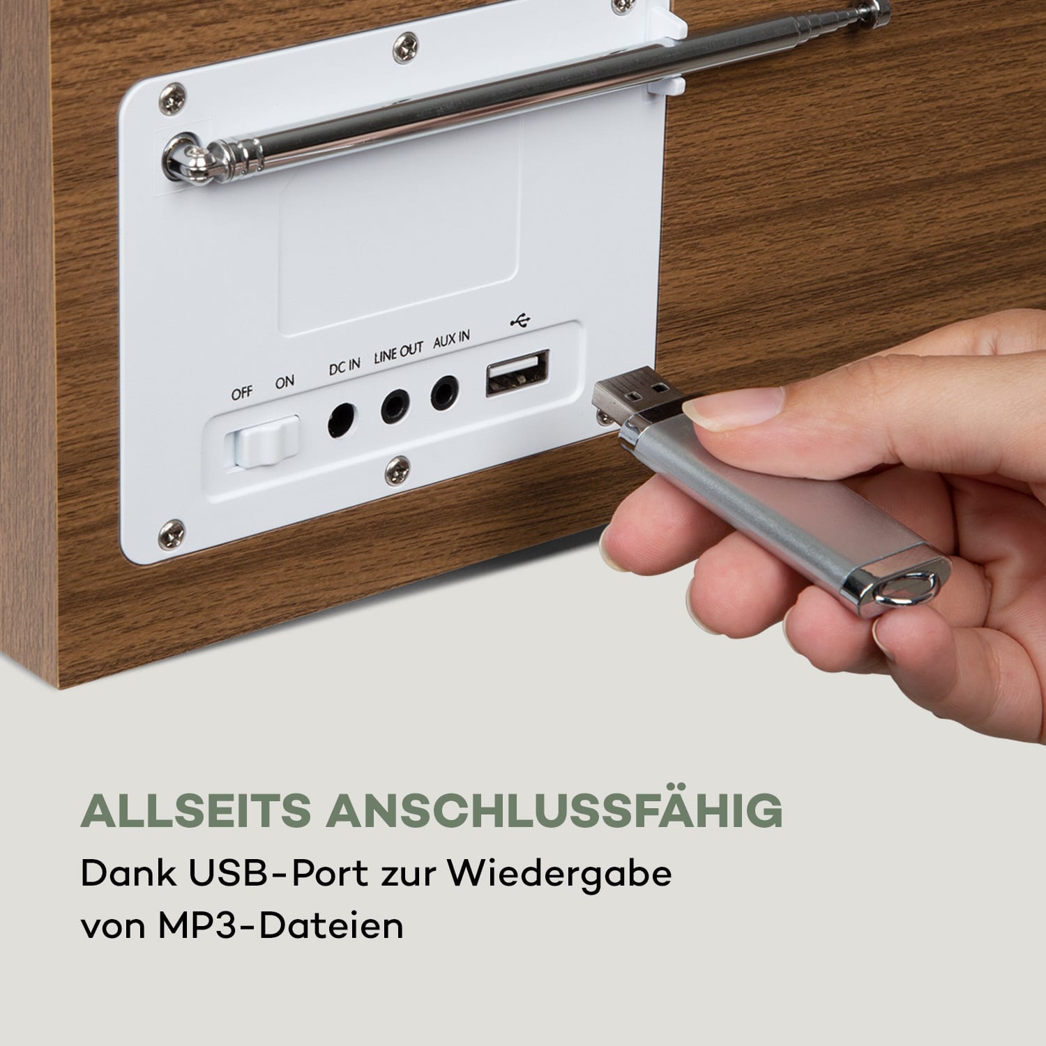 Silver Star Mini Internet DAB+/UKW Radio, WiFi, BT, DAB+/UKW, Eiche