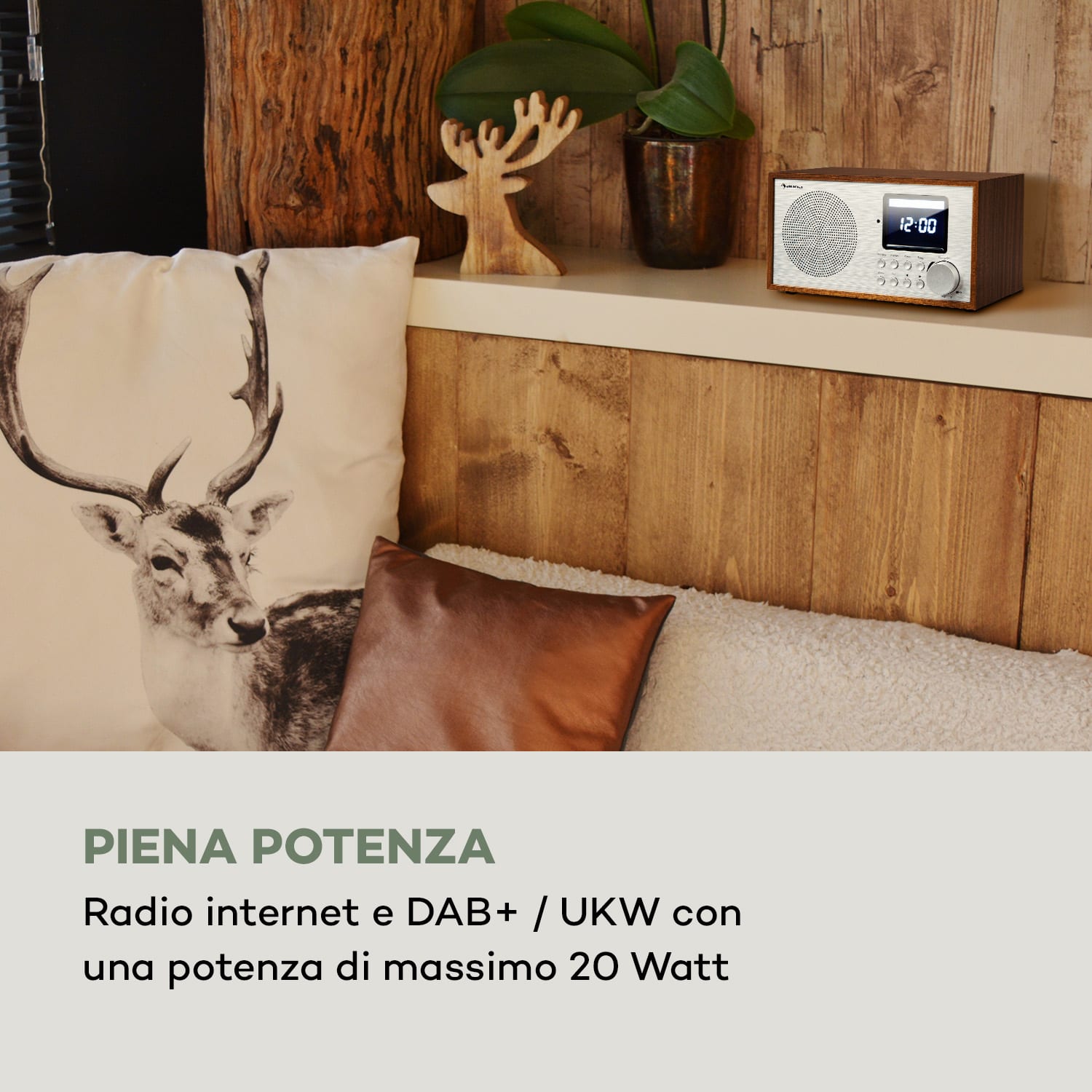 Silver Star Radio Internet Mini DAB+/FM, WiFi, BT, DAB+/FM, Quercia 