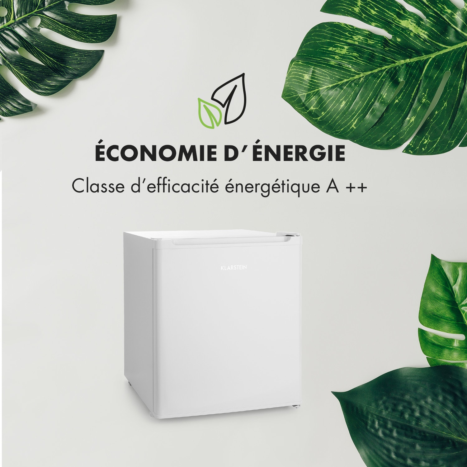 Snoopy Eco minikoelkast met vriesvak 41 liter 39dB 