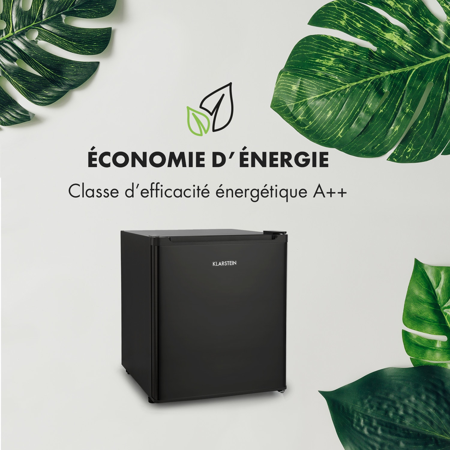 Snoopy Eco Mini-réfrigérateur avec congélateur 41 litres 39 dB Noir