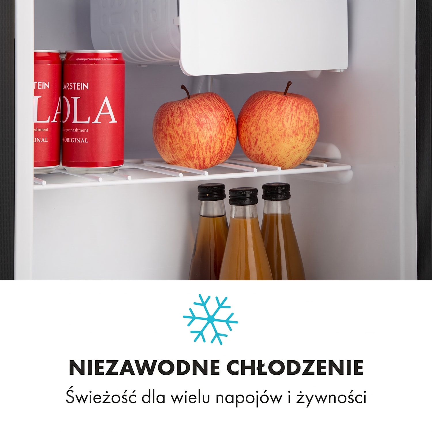 Snoopy Eco, mini lodówka z zamrażalnikiem, klasa energetyczna E, 41 l, 39 dB, czarna Czarny