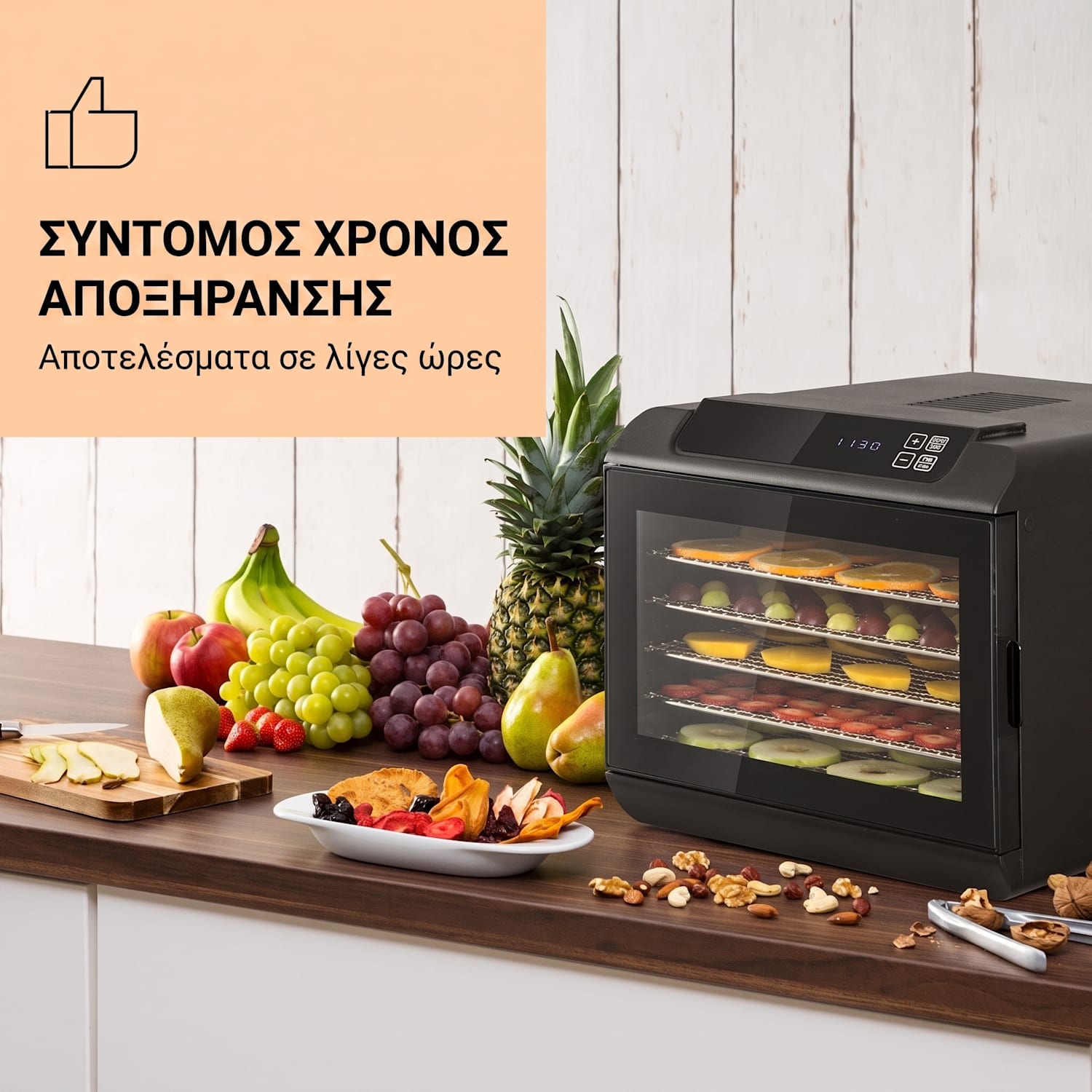 Arizona Jerky, αποξηραντής τροφίμων, 500 W, 35–70 °C, ψηφιακή οθόνη αφής, μαύρο 