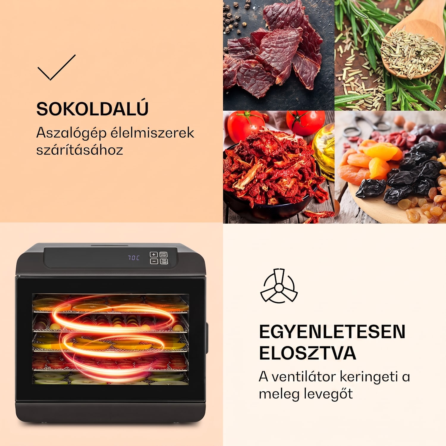 Arizona Jerky, aszalógép, 500 W, 35 - 70 °C, digitális érintőképernyős kijelző, fekete 
