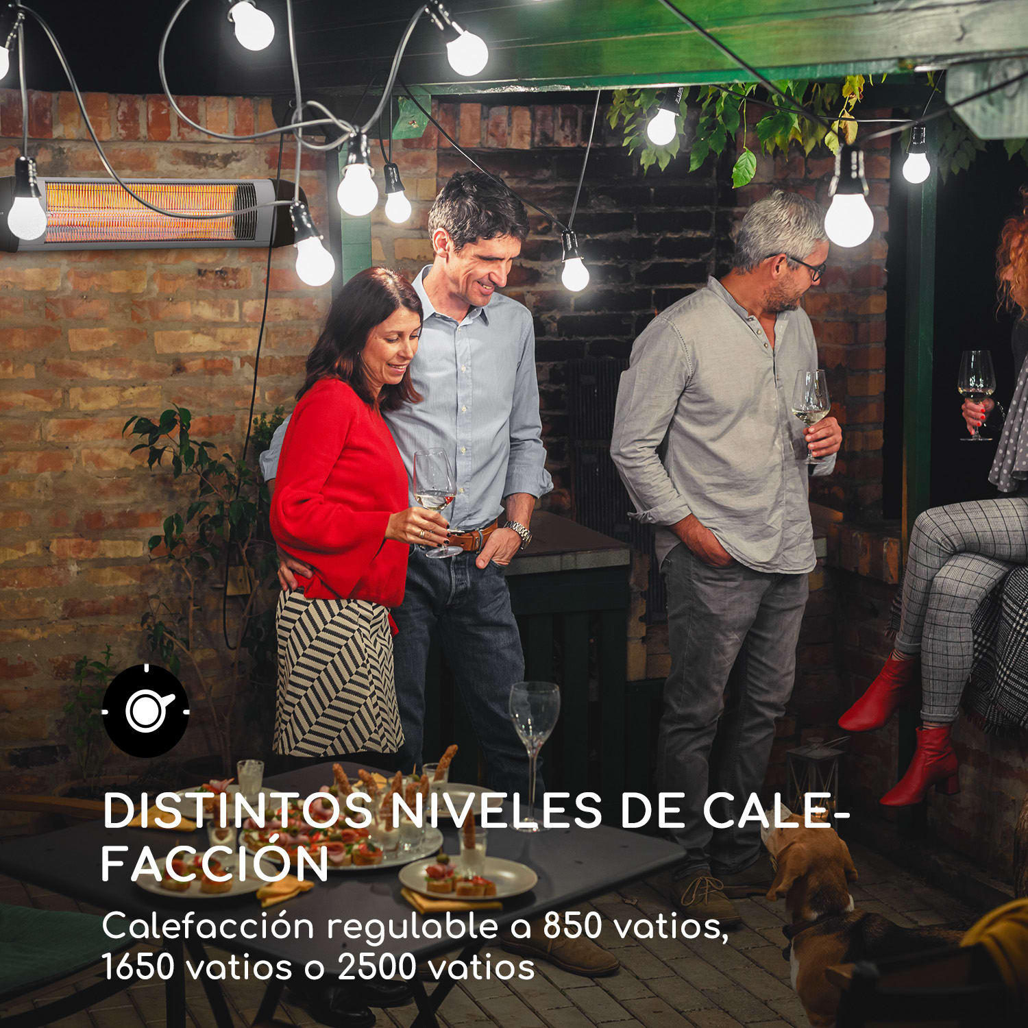 Rising Sun Zenith Estufa radiante 2500W IP34 Mando a distancia Plateado 