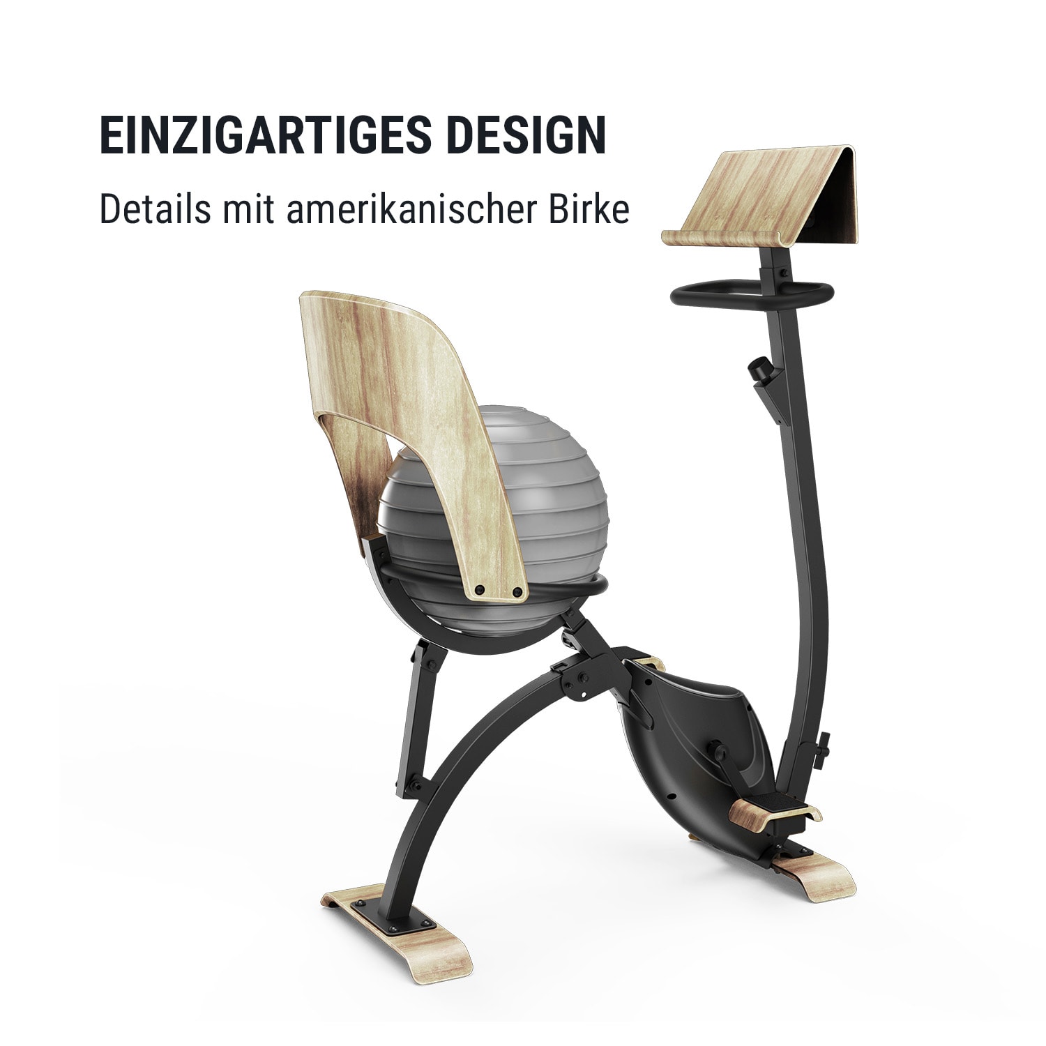 Roomik Cycle Heimtrainer 8kg Schwungmasse Tablethalter Gymnastikball 