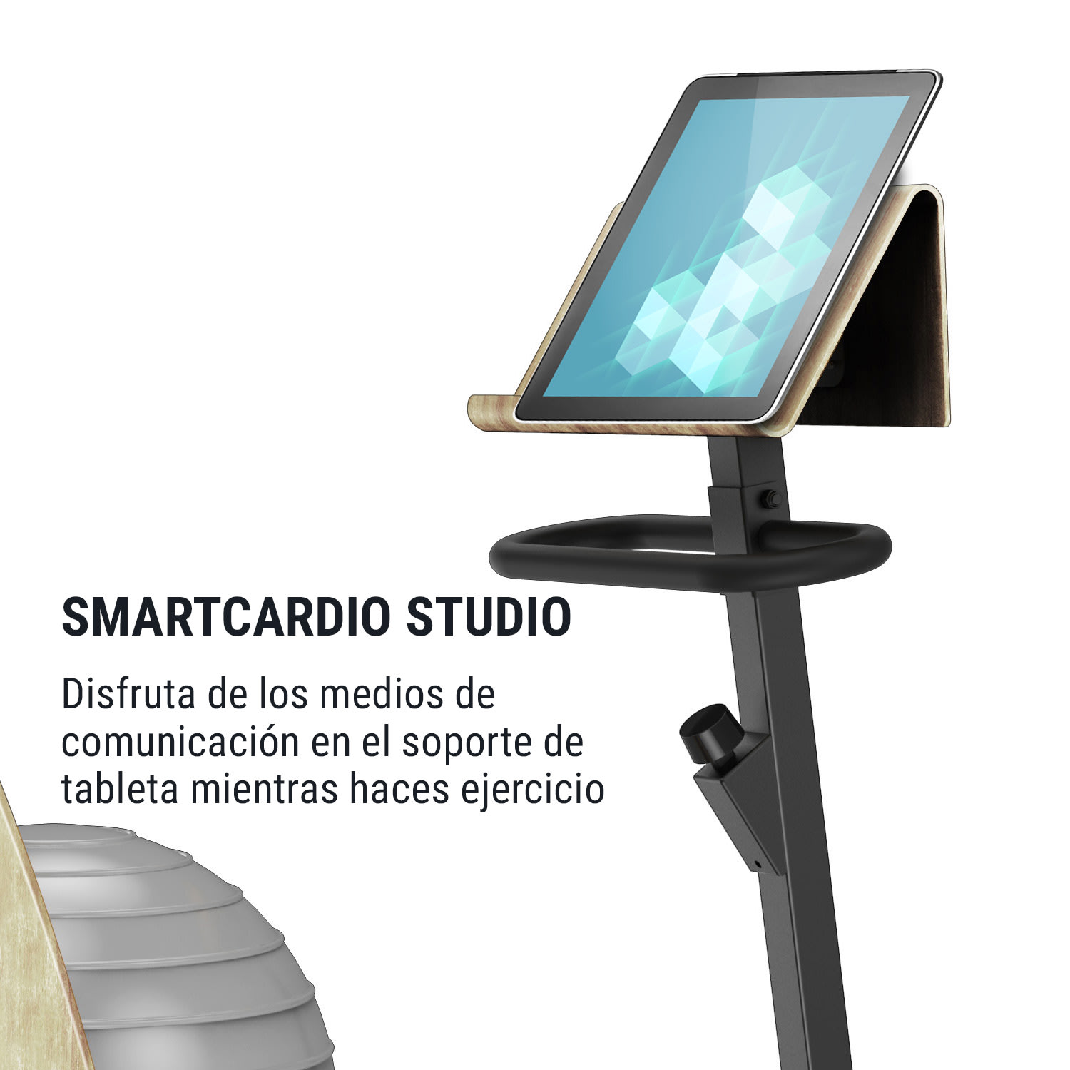 Roomik Cycle Bicicleta estática 8 kg Peso oscilante Soporte para tableta Pelota de ejercicio 