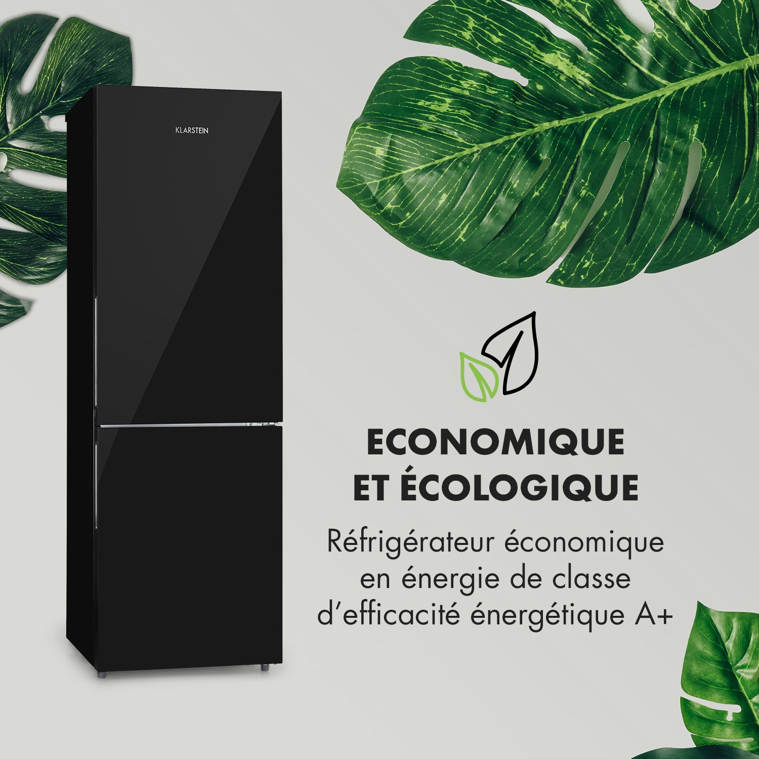 Luminance Frost Combiné réfrigérateur congélateur 300 litres classe A+ 