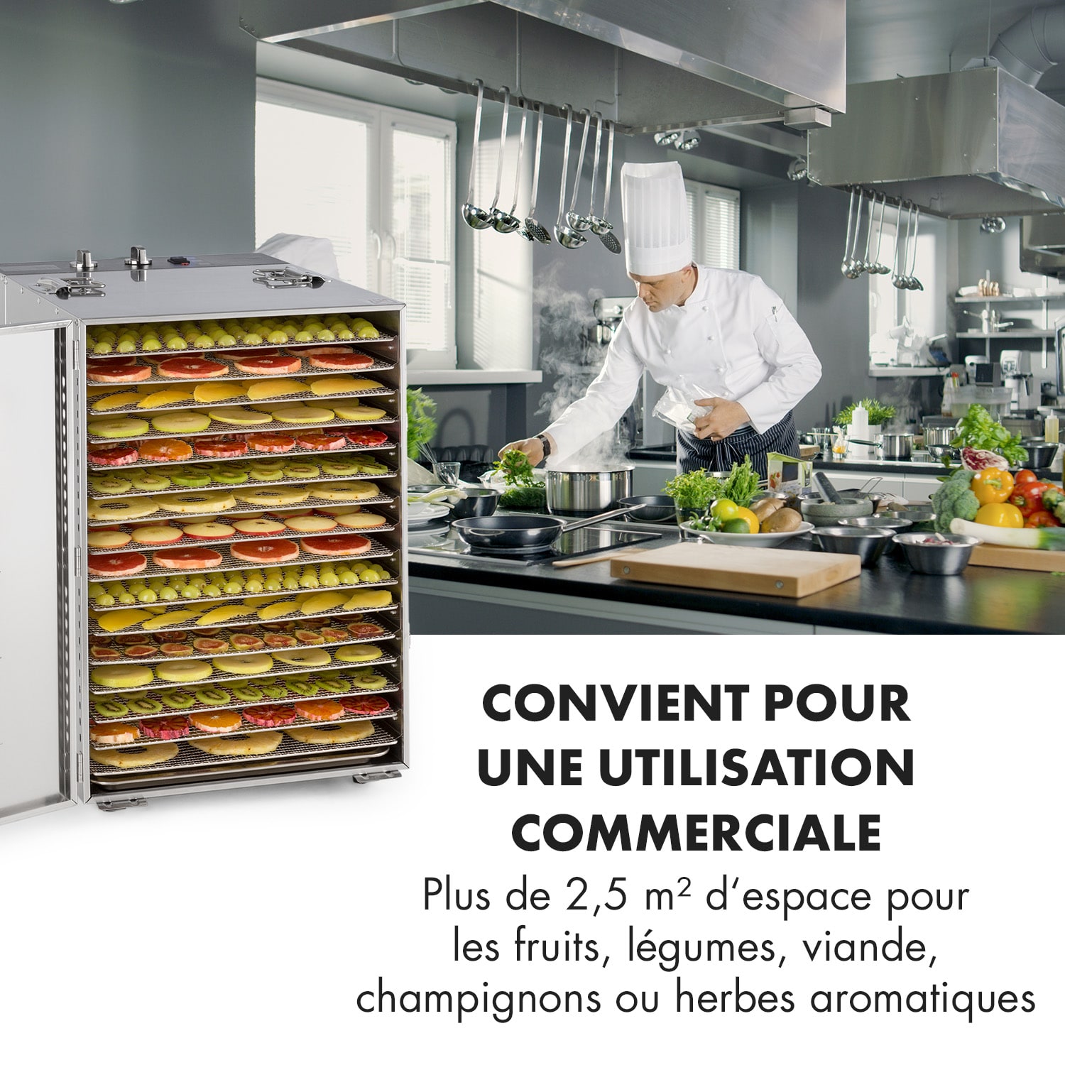 Master Jerky 16 Déshydrateur alimentaire 1500W 40-90 °C - inox argent 16 étages