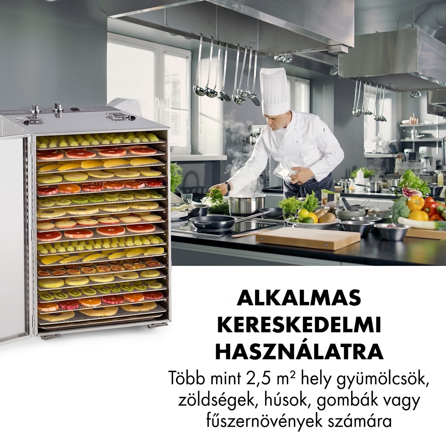Master Jerky 16, aszalógép, 1500 W, 40 - 90 °C, 15 órás időzítő, rozsdamentes acél, ezüst 16 tálca