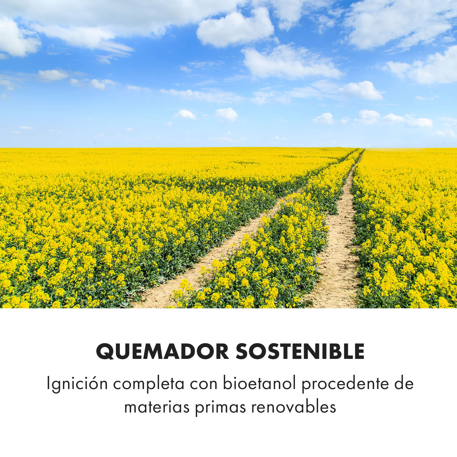 Phantasma Cottage Pillar Chimenea de etanol quemadores de acero inoxidable blanco/negro 