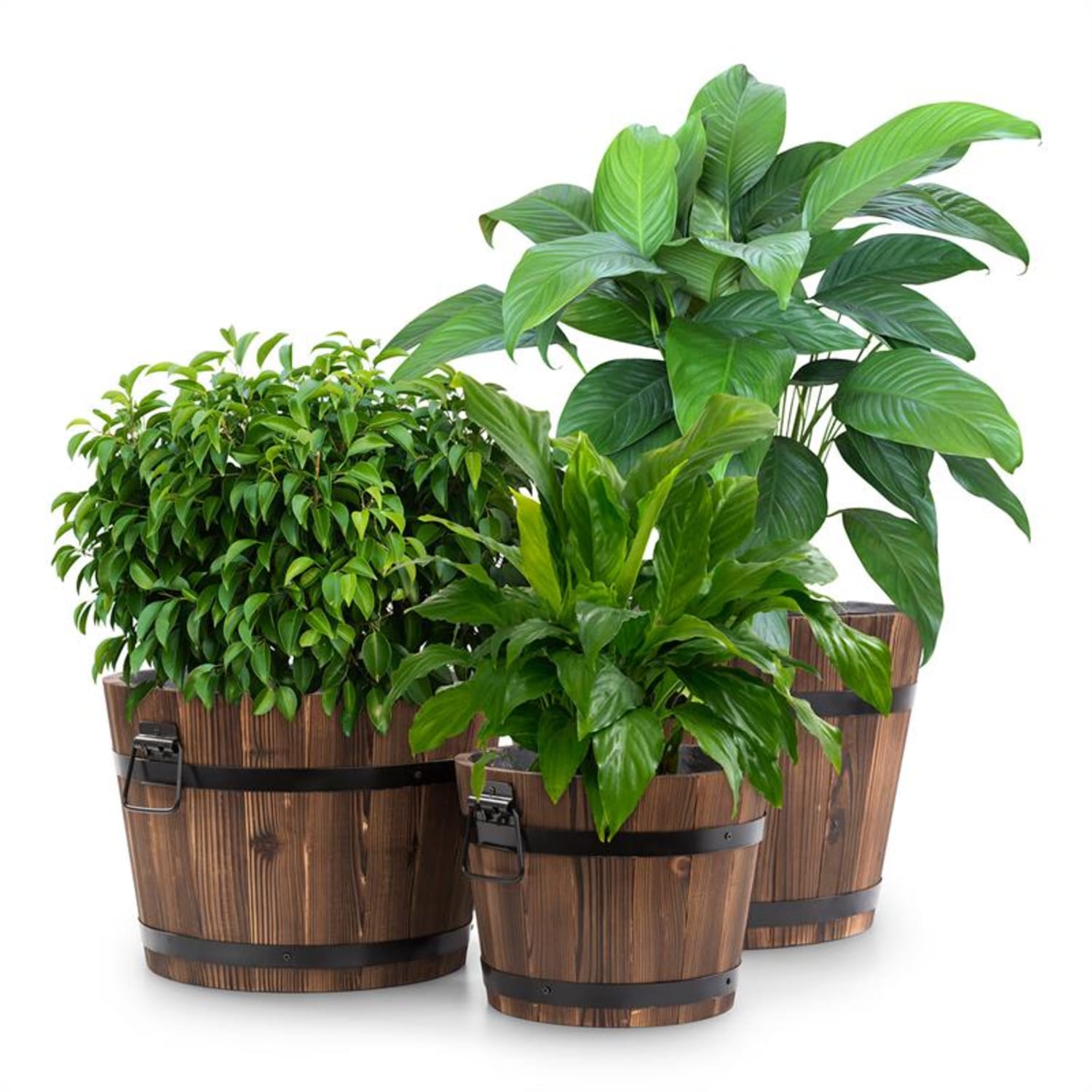 Trifloris, set de 3 ghivece din lemn, maro