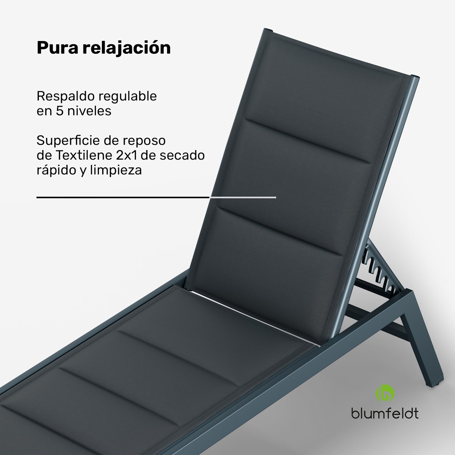 Renazzo Lounge tumbona 70/30 PVC/PE Aluminio 6 niveles Gris oscuro 