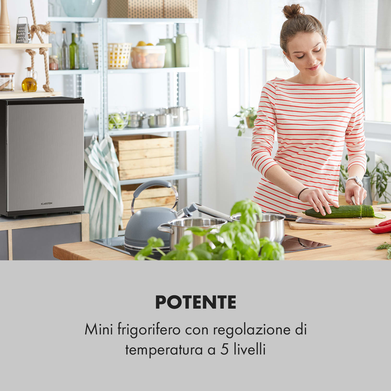 Beerbauch frigorifero minibar 65l termoelettrico A+ silenzioso argento Argento
