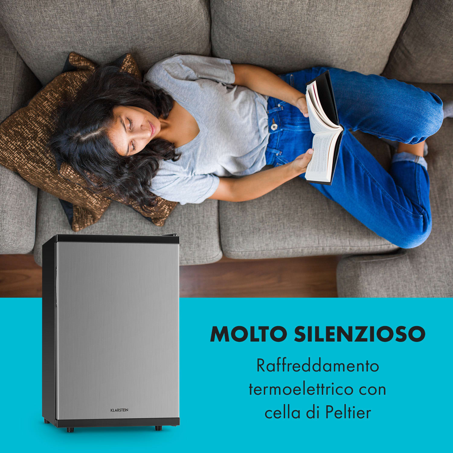 Beerbauch frigorifero minibar 65l termoelettrico A+ silenzioso argento Argento