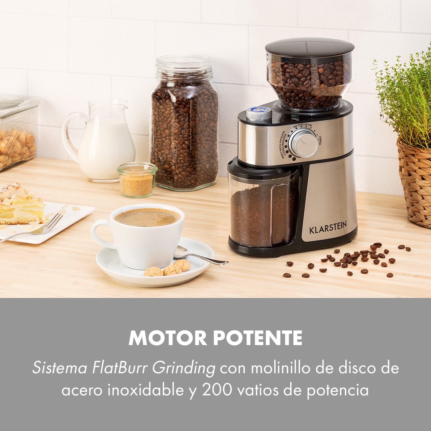 Florenz Molinillo de café 200 W Acero inoxidable de disco Plata