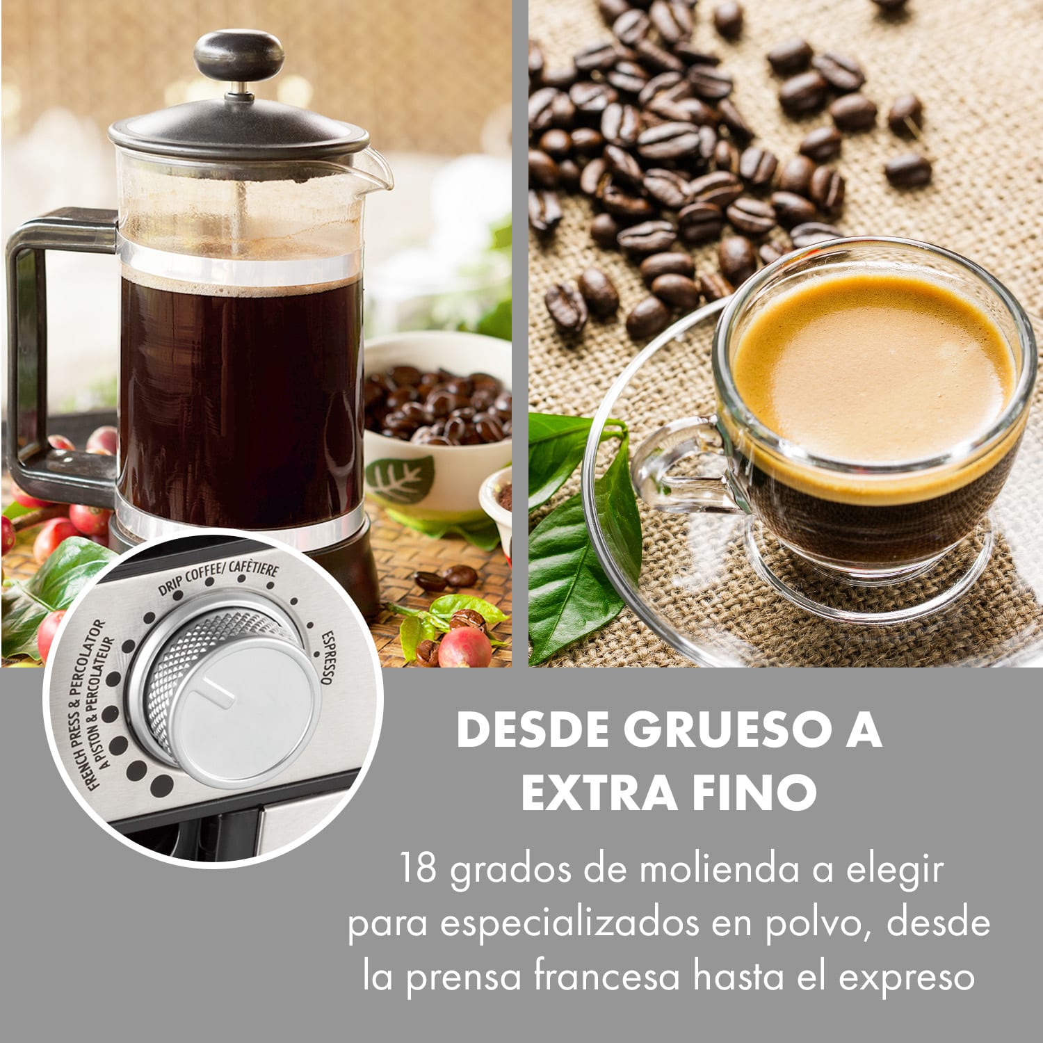 Florenz Molinillo de café 200 W Acero inoxidable de disco Plata