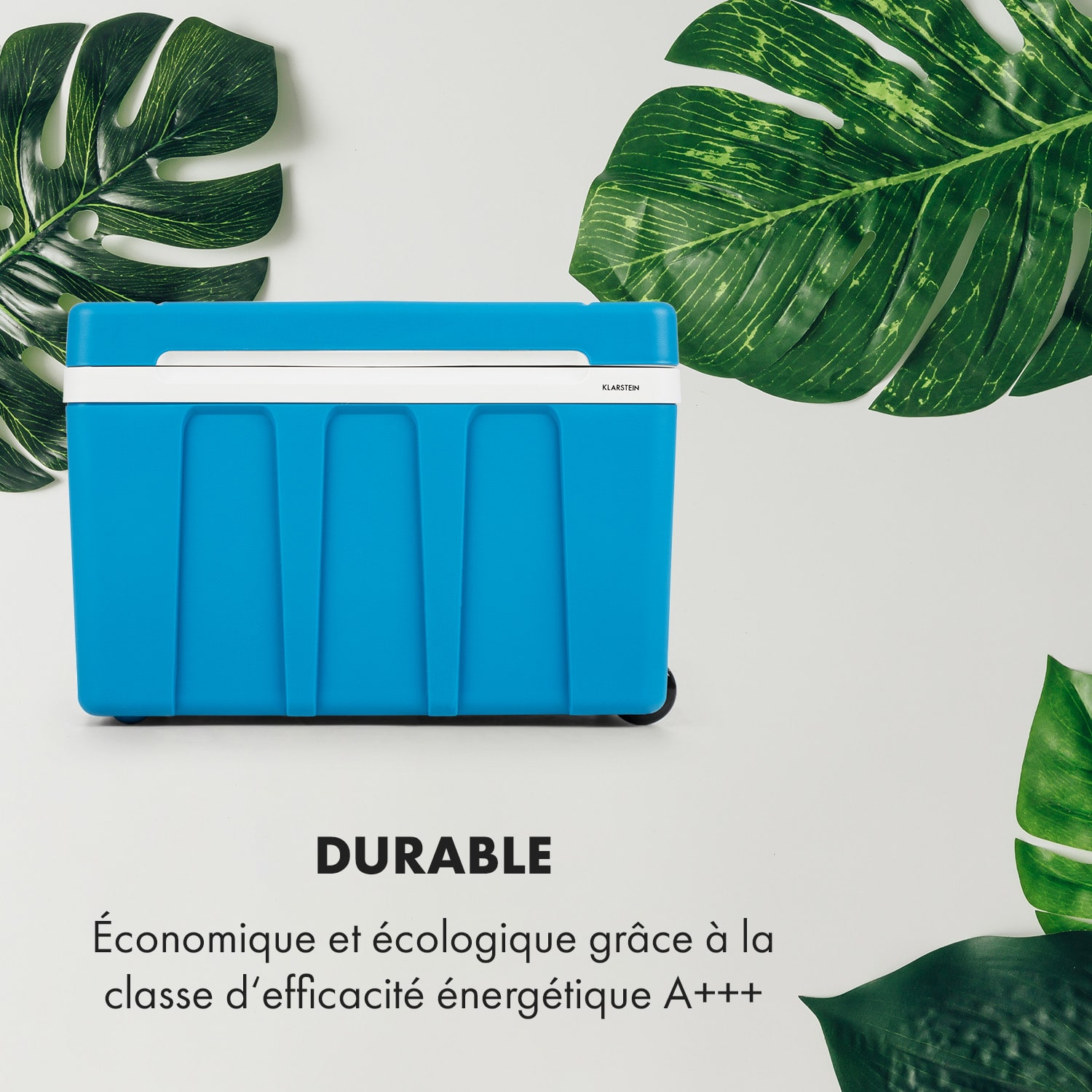 BeerPacker caisse réfrigérante/réchauffante 50 litres CA/CC chariot Bleu