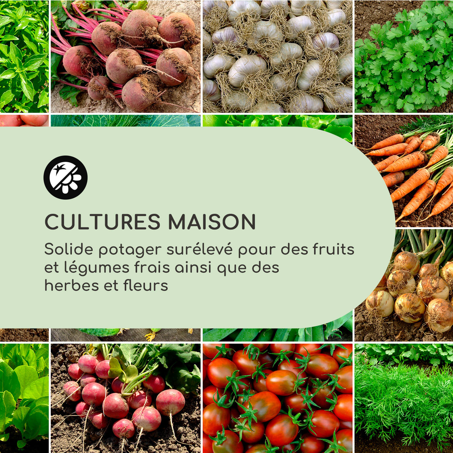 Altiplano Cubic Potager surélevé 150x100x50cm toile de paillage ErgoGr 150 cm