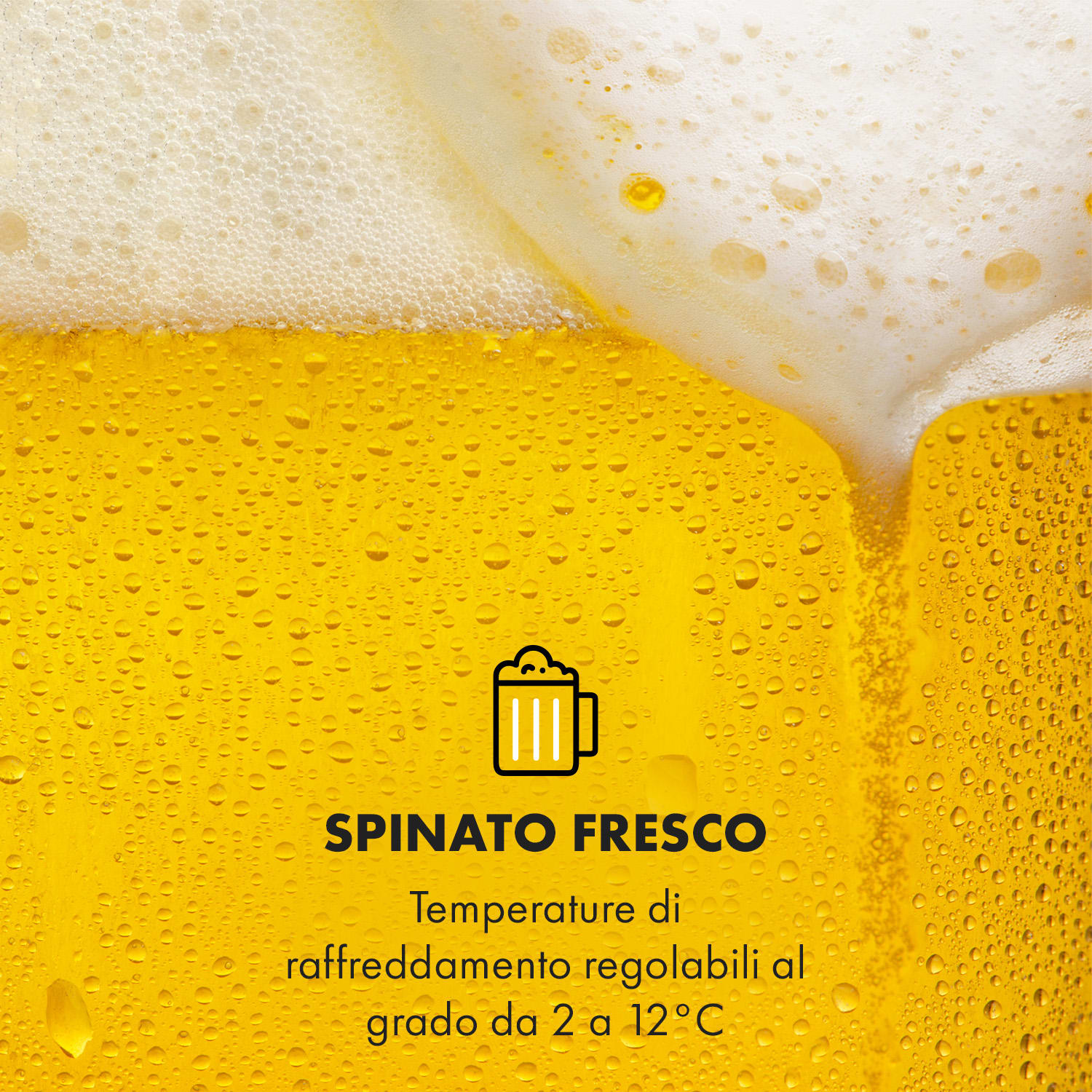 Beerkules impianto per spillare birra fusti da 5l | compressore | 120W nero Nero / Argento metallizzato