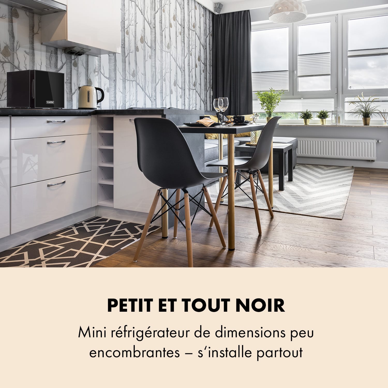 Frosty mini-koelkast EEC A spiegelglasdeur 10 liter zwart 