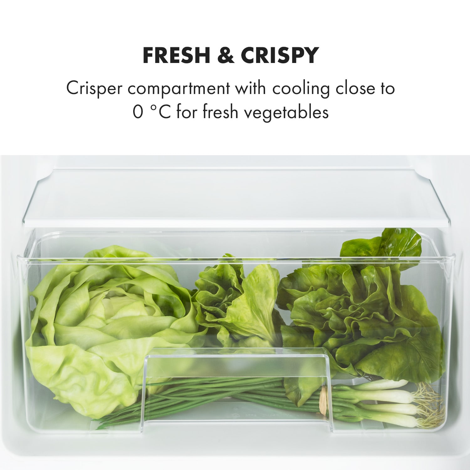 Big Daddy Cool, hladnjak sa zamrzivačem, 61/25 litara, nehrđajući čelik, F, srebrni