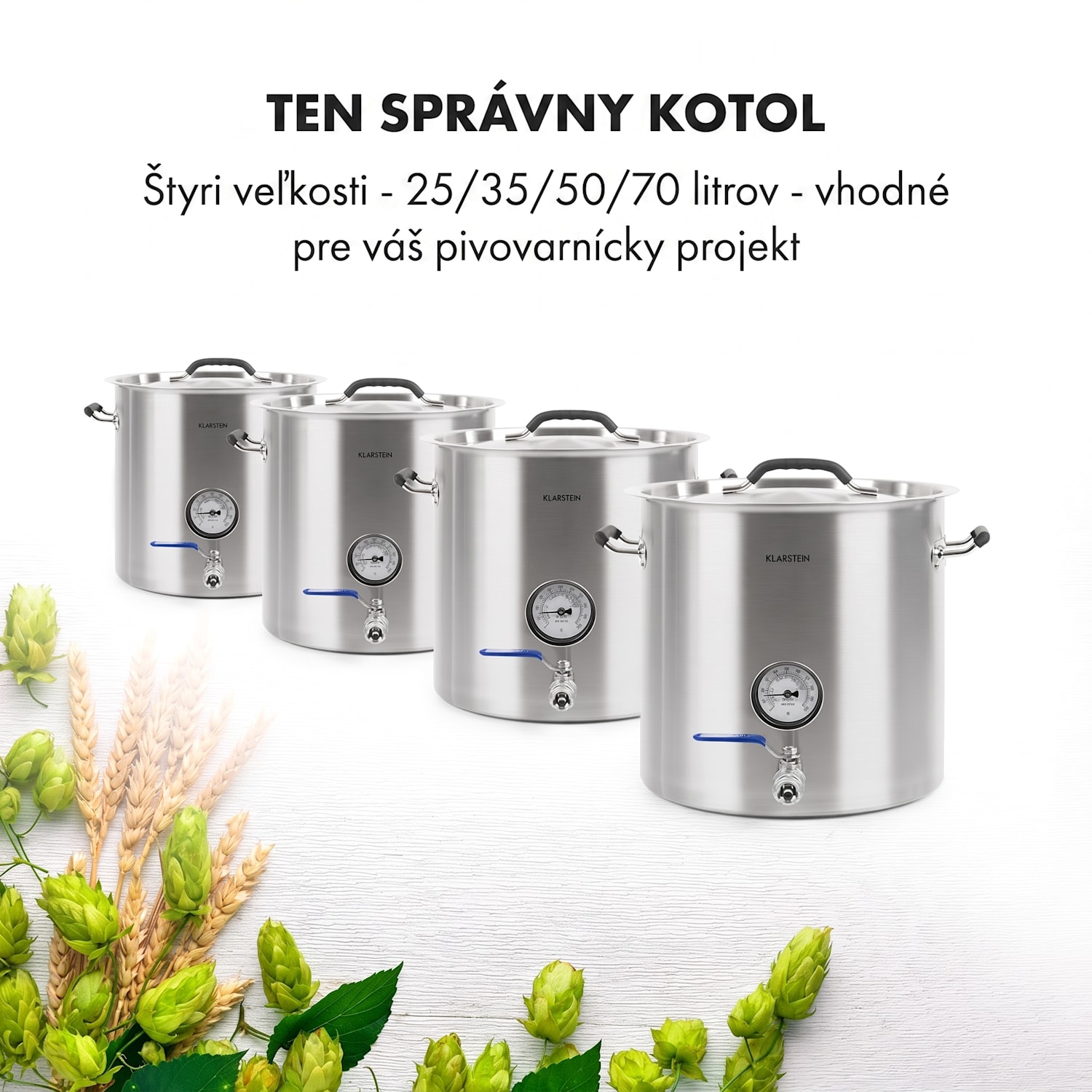 Brauheld Pur 35, sladový kotol, 35 l, bez vyhrievacieho telesa, nehrdzavejúca oceľ 35 L