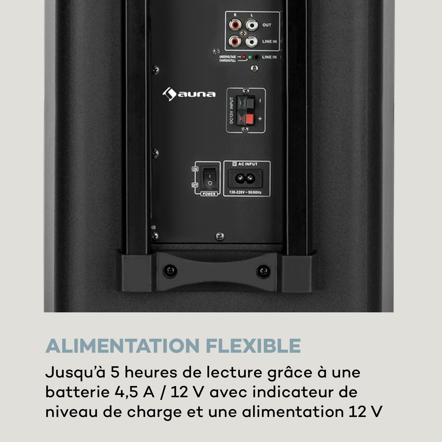 Moving 100 PA-installatie 10" woofer 50/150W UHF-micro USB SD BT AUX mobiel 150 W