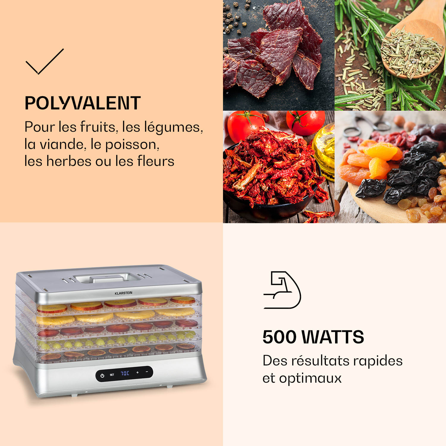 Silver Jerky voedseldroger 500 W leddisplay bevat geen BPA 35-70 °C 