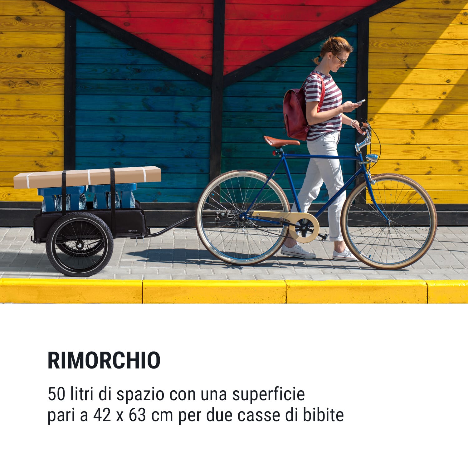 Companion rimorchio da carico 40 kg/50 litri rimorchio per bicicletta ca 