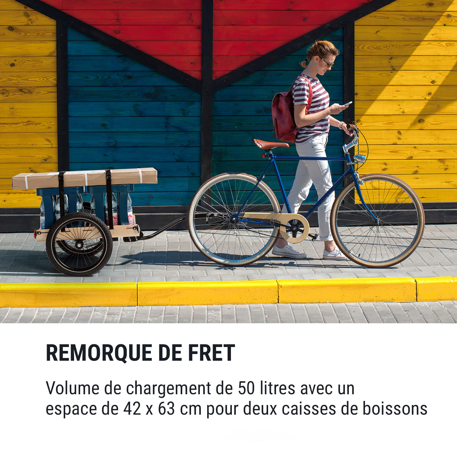 Companion Travel Remorque de vélo 40 kg - Pneus 16" - Noir & Bois Standard | Bouleau