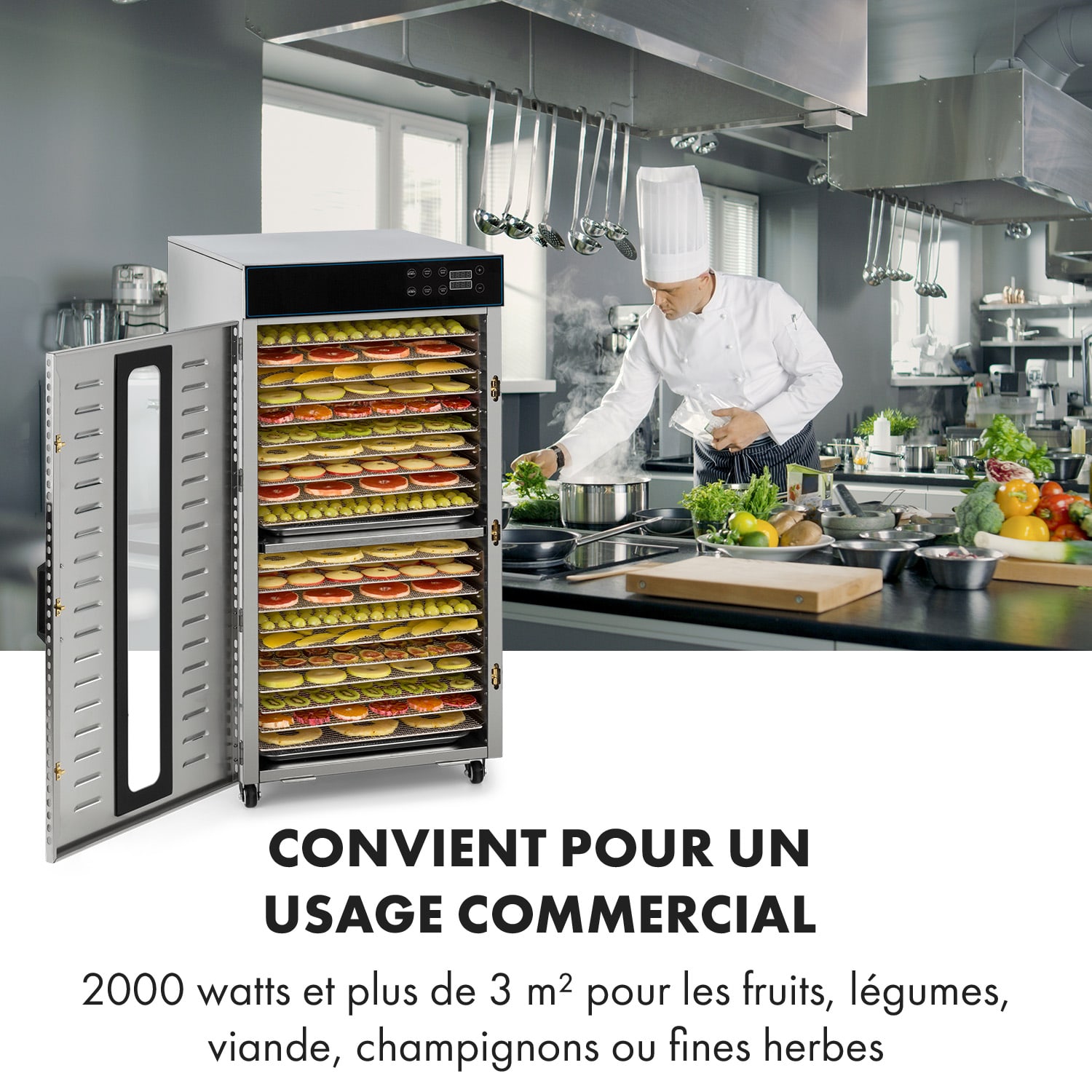 Master Jerky 300 Déshydrateur alimentaire 2000 W 40-90 ° C 24 h minute 20 étages