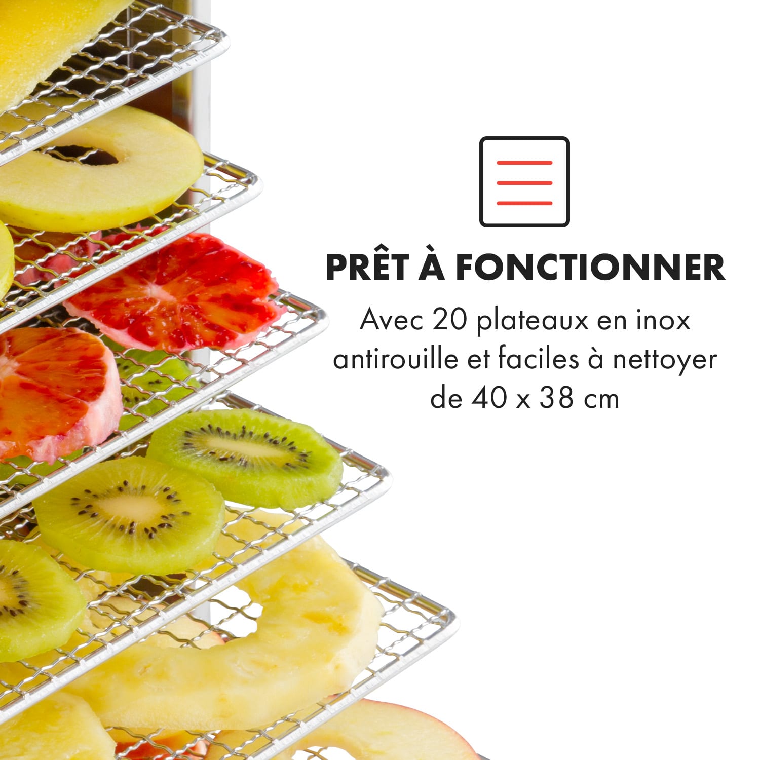 Master Jerky 300 Déshydrateur alimentaire 2000 W 40-90 ° C 24 h minute 20 étages