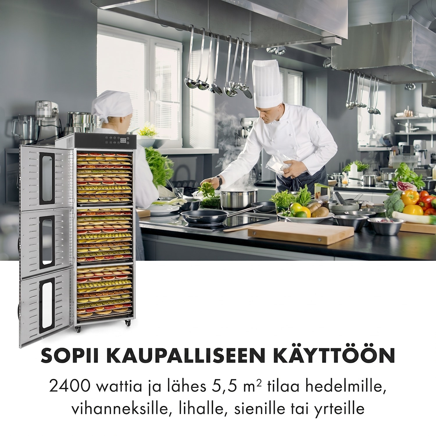 Master Jerky 550 kuivuri 2400 W 30-90 °C 24 h ajastin ruostumatonta terästä hopeanvärinen 36 hyllyä
