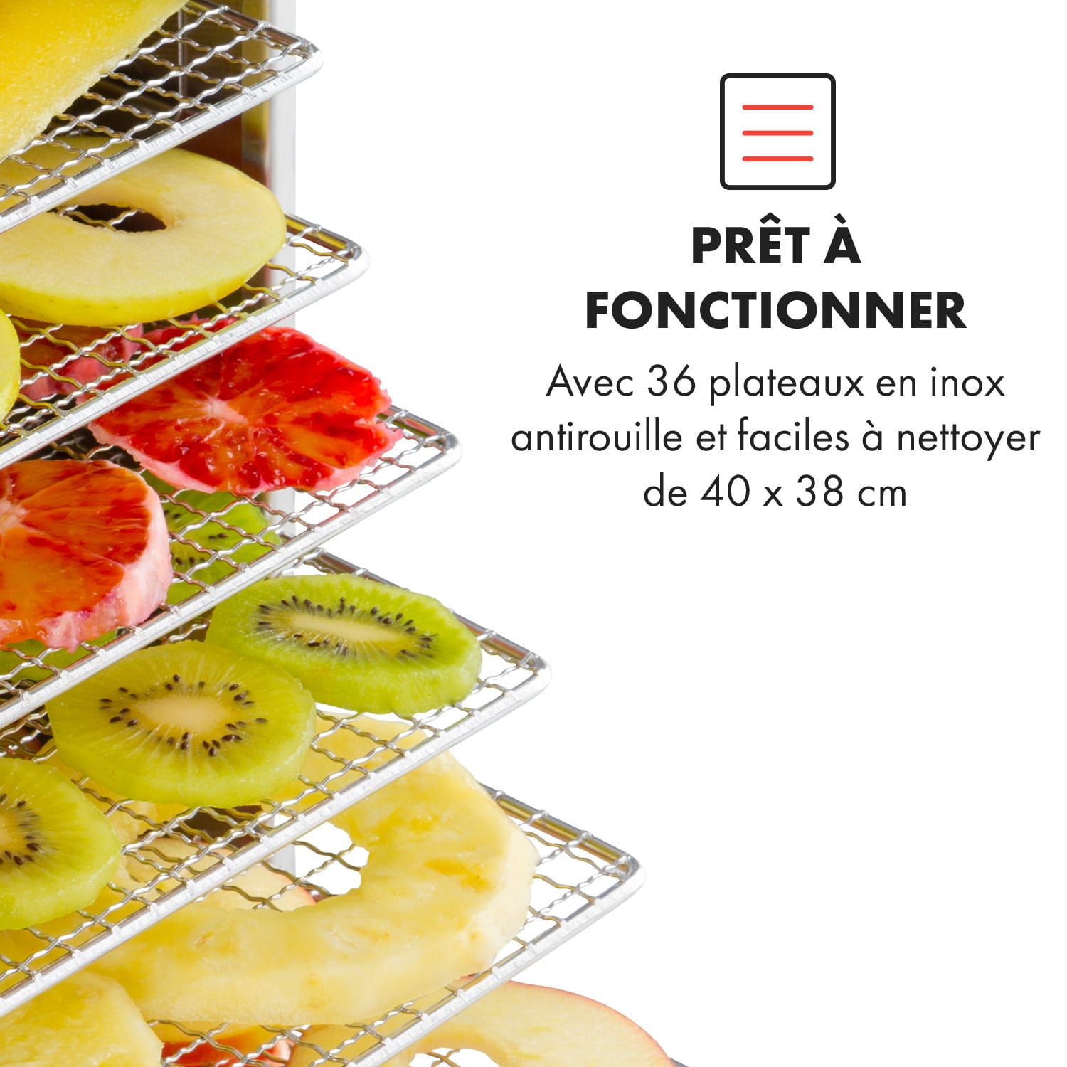 Master Jerky 550 voedseldroger 2400W 40-90 °C 24h-timer rvs zilver 36 etages