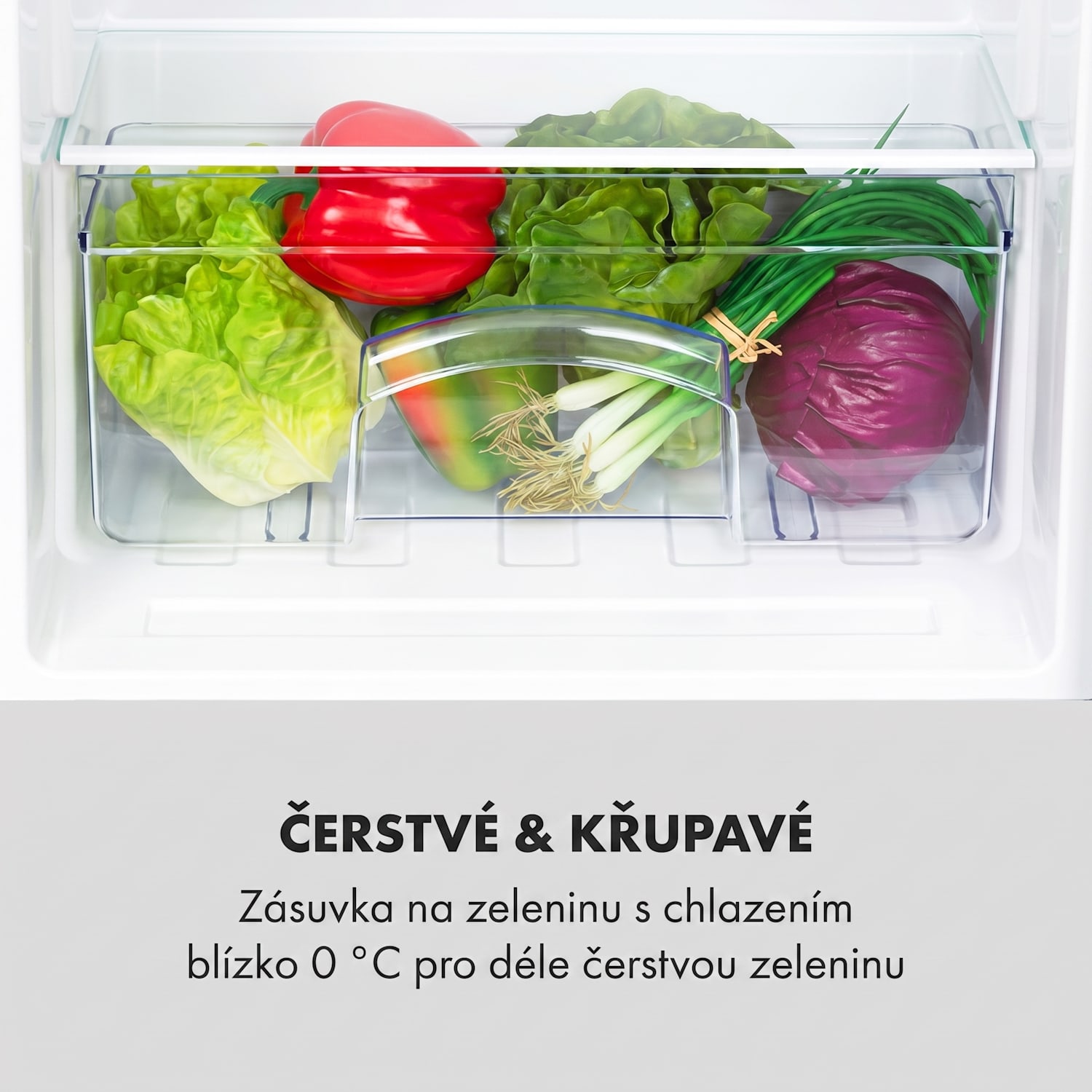 Cool Cousin, lednice, mrazící prostor, 70 l/11 l, 40 dB, energetická třída E, černá Černá