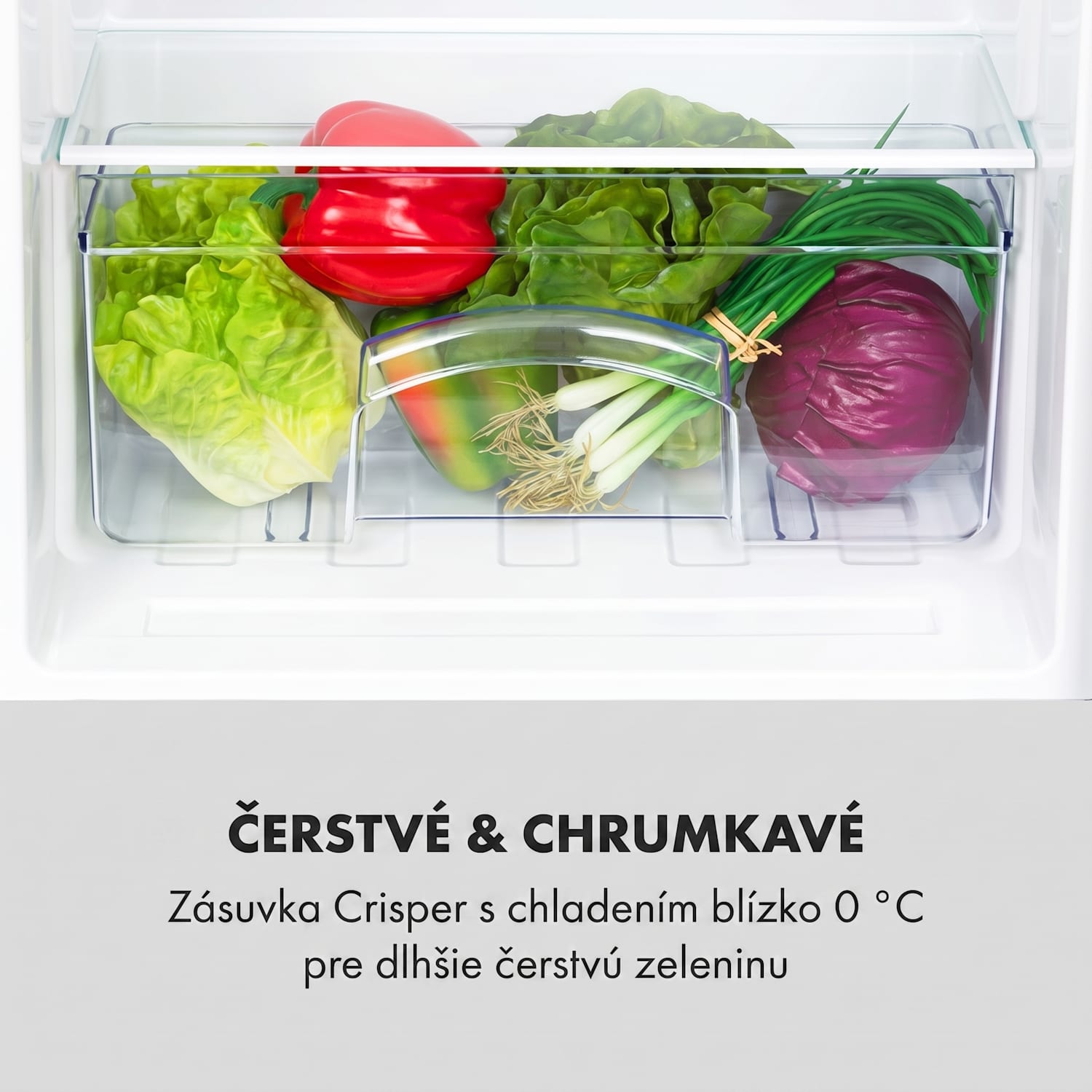 Cool Cousin, chladnička s mrazničkou, 70/11 l, 40 dB, energet. trieda E, čierna Čierna