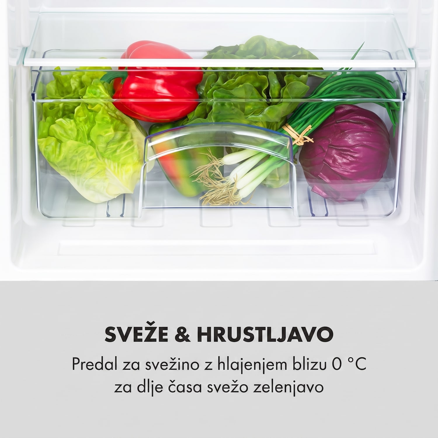 Cool Cousin, hladilnik z zamrzovalnikom, 70/11 litrov, 40 dB, E, črna Črna