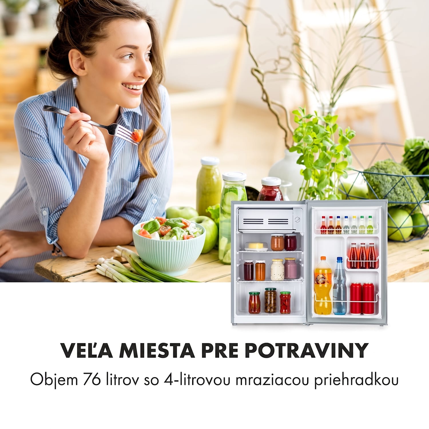 Delaware, chladnička, 75 l, mraziaci priečinok 4 l, energet. trieda E, kompresné chladenie Strieborná metalíza