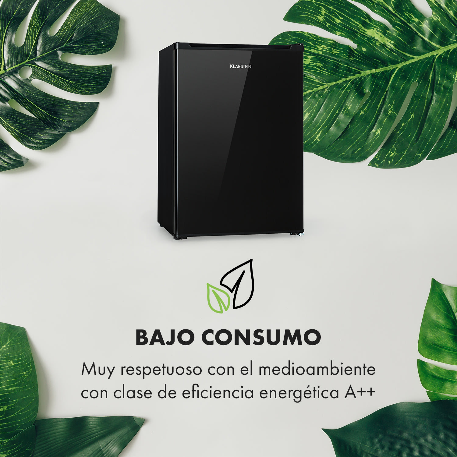 Delaware Frigorífico 75 Litros congelador de 4 Litros compresión Negro
