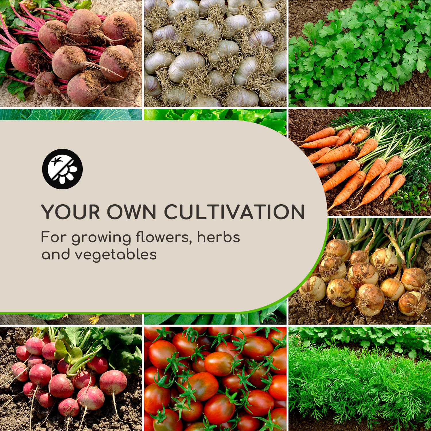 High Grow Advanced, ghiveci cu acoperiș, 120x95x100cm, 540l, oțel, argintiu 