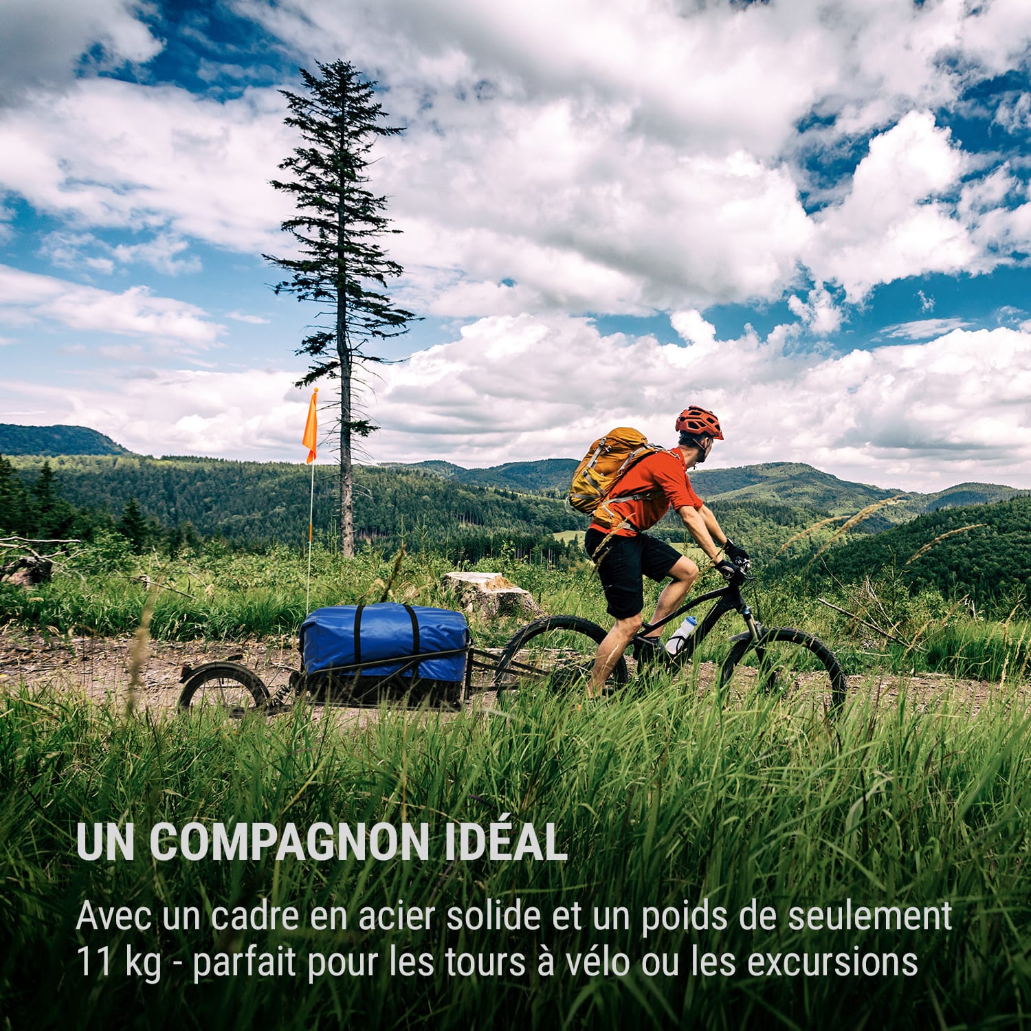 Follower remorque à vélo roue simple 16" charge 35 kg noir 
