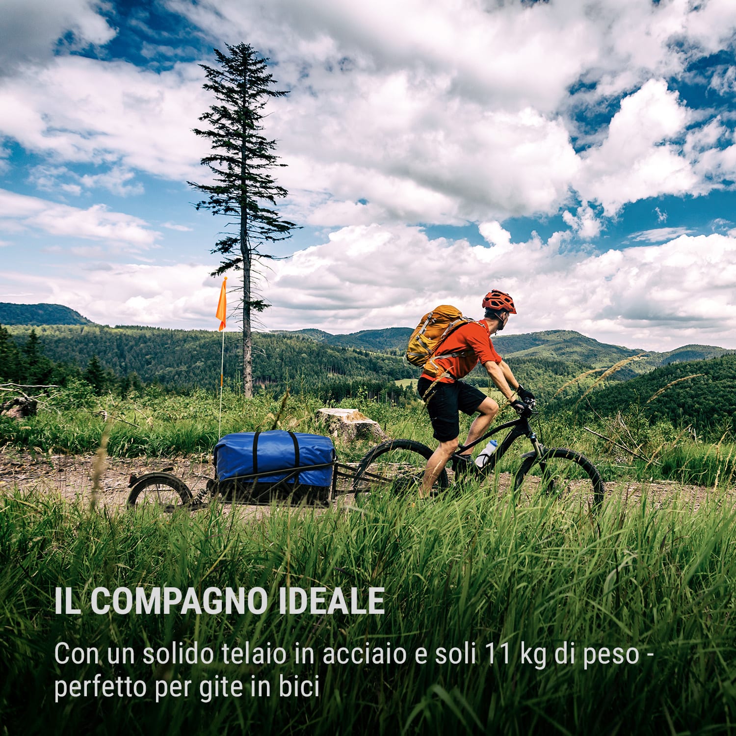 Follower, rimorchio per bicicletta, ruota da 16" a pista singola, 35 kg di portata, nero 