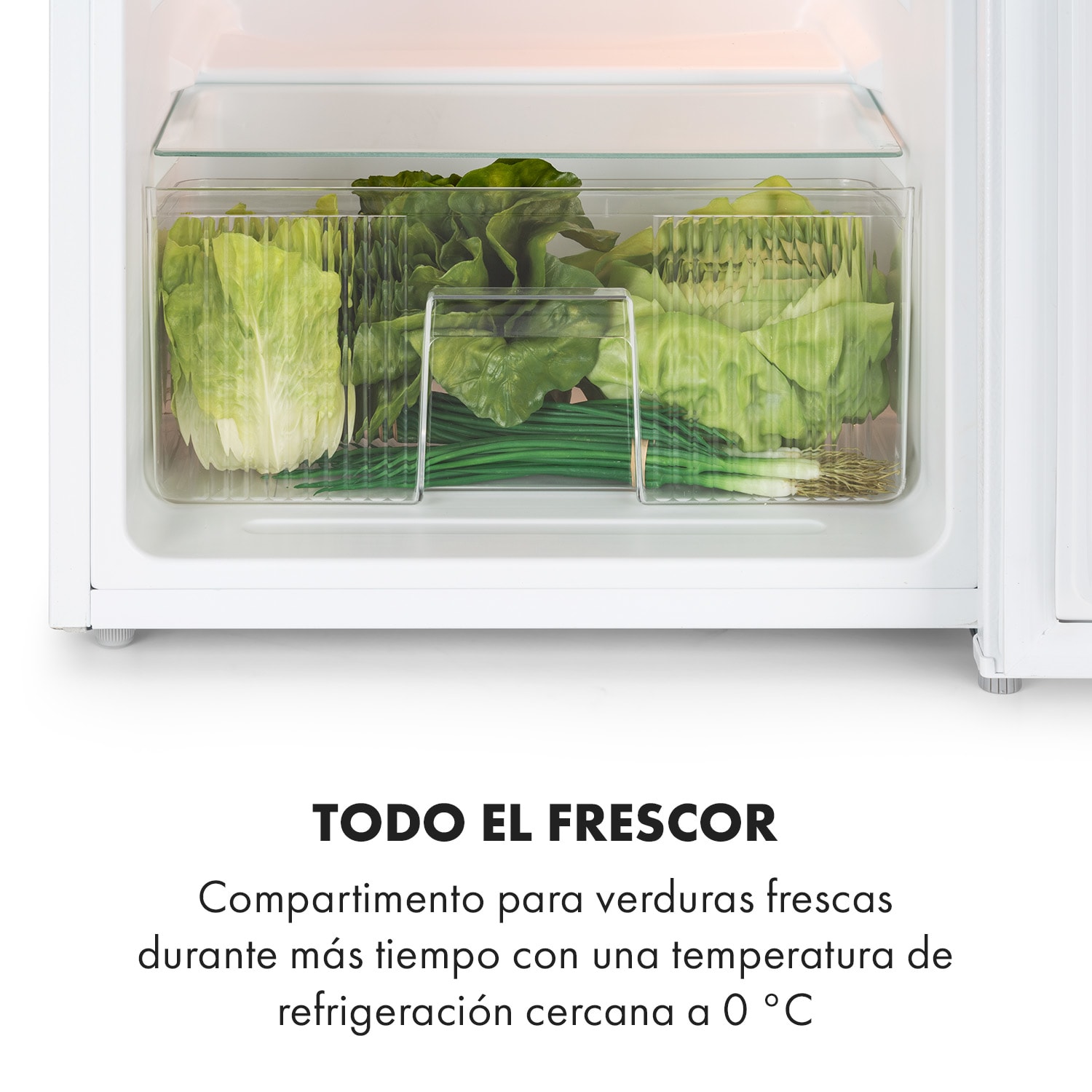 Big Daddy Cool Refrigerador con congelador 61/22 L 42 dB A+ blanco 83 L | Blanco