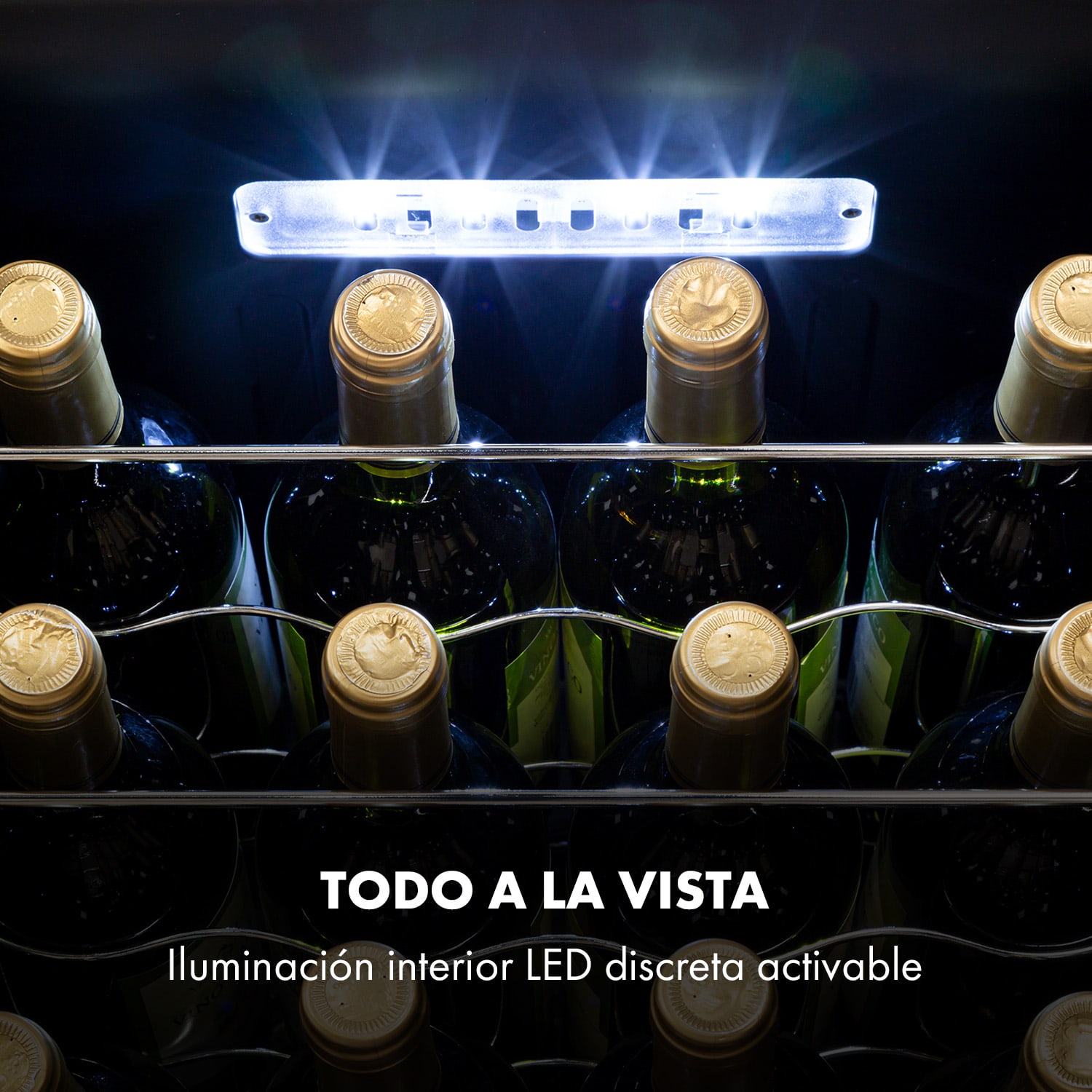 Shiraz 24 Uno Vinoteca 63L 24 botellas panel de control táctil de 5 a 18 °C 24 botellas | 1 zona de refrigeración | Negro